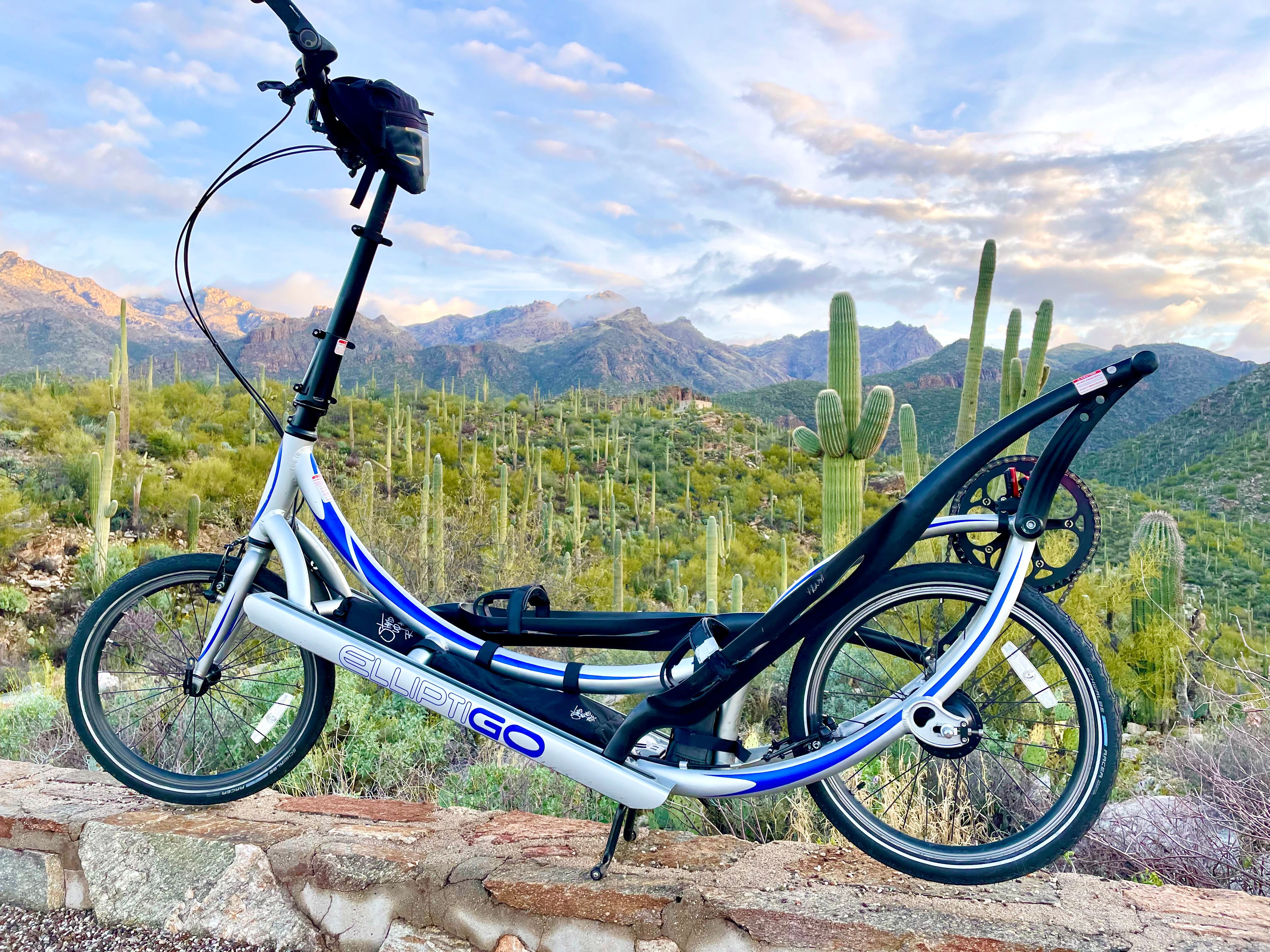 Elliptigo 11r best sale